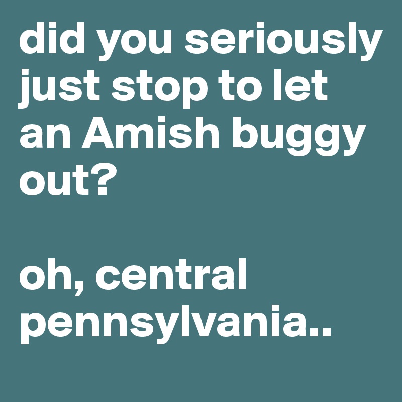 did you seriously just stop to let an Amish buggy out? 

oh, central pennsylvania.. 