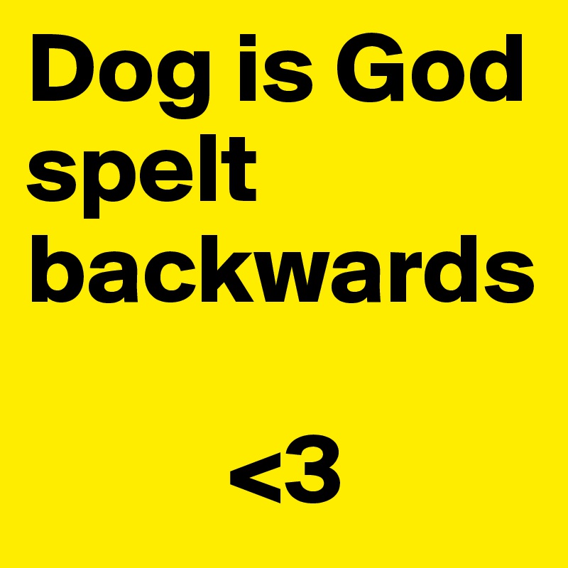 Dog is God          spelt backwards

          <3