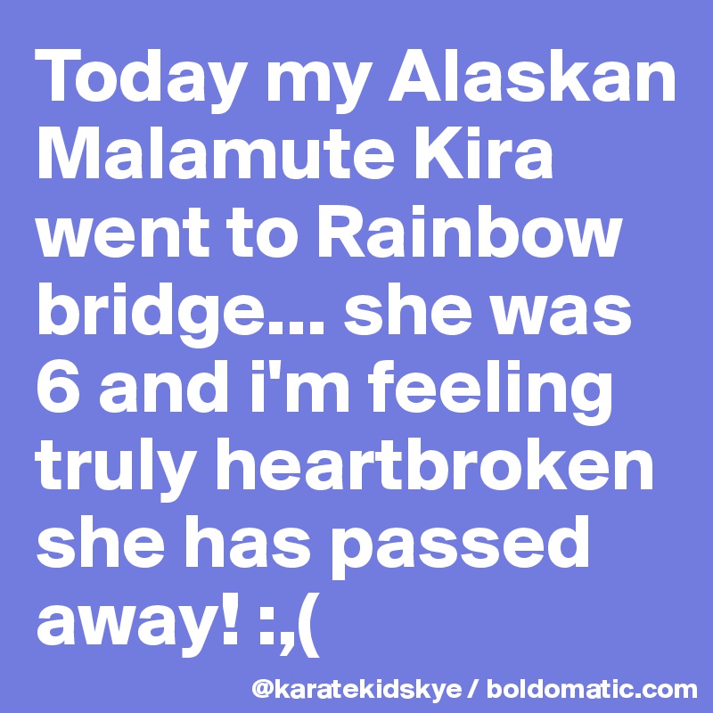 Today my Alaskan Malamute Kira went to Rainbow bridge... she was 6 and i'm feeling truly heartbroken she has passed away! :,( 