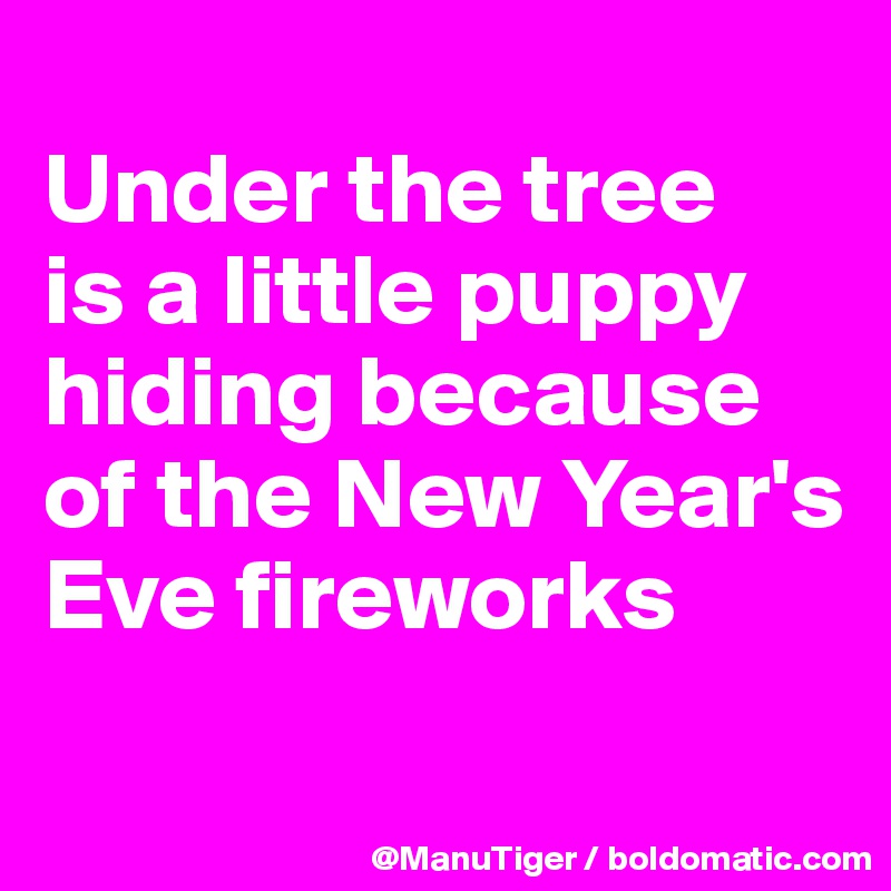 
Under the tree
is a little puppy hiding because of the New Year's Eve fireworks
