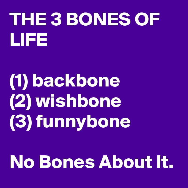 THE 3 BONES OF LIFE

(1) backbone
(2) wishbone
(3) funnybone

No Bones About It.