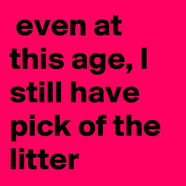  even at this age, I still have pick of the litter
