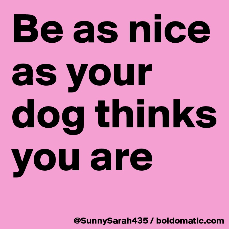 Be as nice as your dog thinks you are