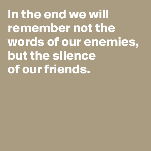 In the end we will remember not the words of our enemies,
but the silence 
of our friends.



