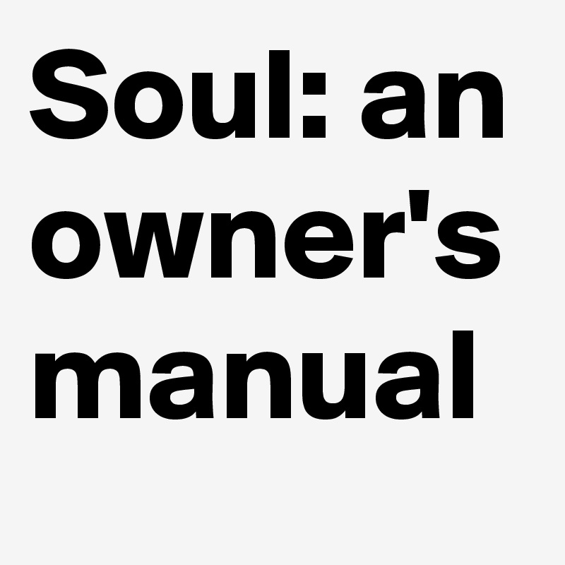 Soul: an owner's manual