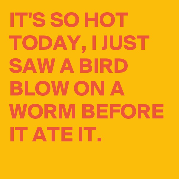 IT'S SO HOT TODAY, I JUST SAW A BIRD BLOW ON A WORM BEFORE IT ATE IT.