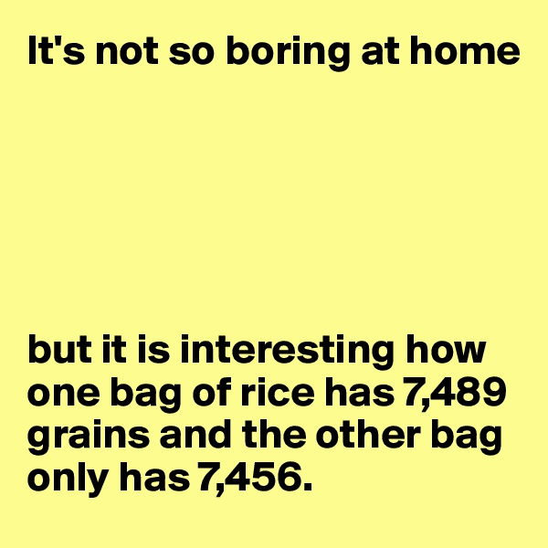 It's not so boring at home






but it is interesting how one bag of rice has 7,489 grains and the other bag only has 7,456. 