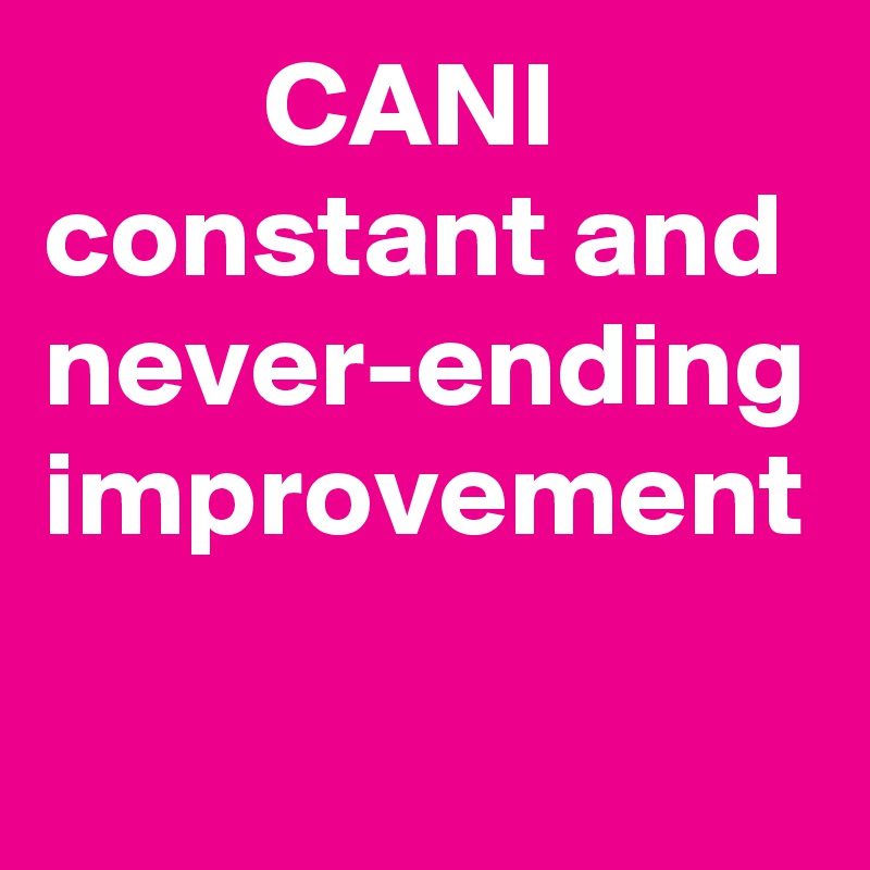          CANI  constant and never-ending improvement 