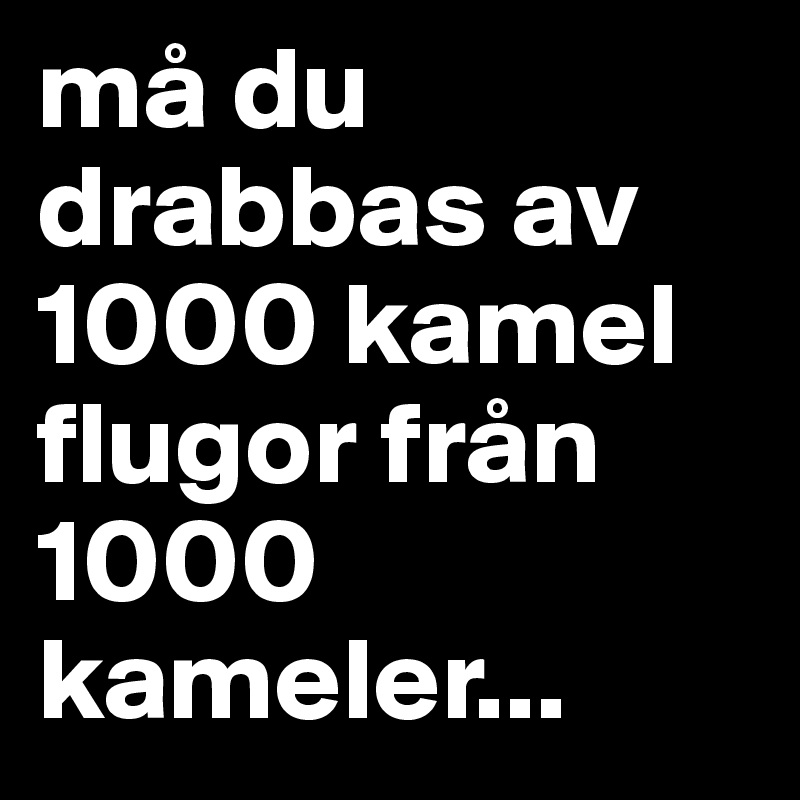 må du drabbas av 1000 kamel flugor från 1000 kameler...