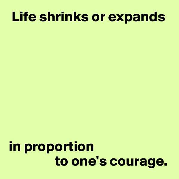  Life shrinks or expands








in proportion 
                to one's courage.