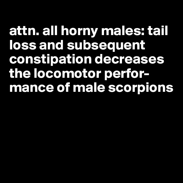 
attn. all horny males: tail loss and subsequent constipation decreases the locomotor perfor-mance of male scorpions




