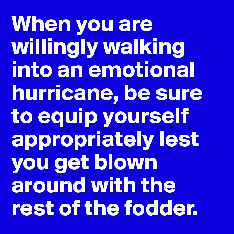 When you are willingly walking into an emotional hurricane, be sure to equip yourself appropriately lest you get blown around with the rest of the fodder.