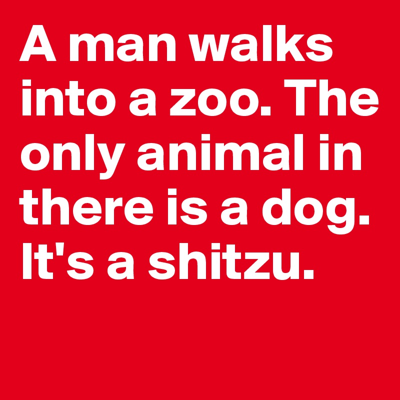 A man walks into a zoo. The only animal in there is a dog. It's a shitzu.
