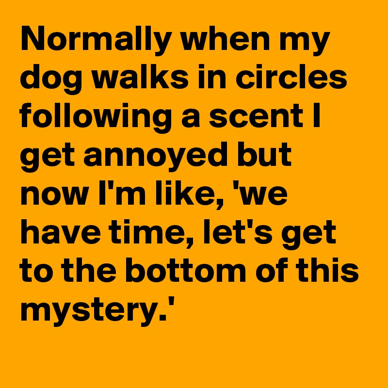 Normally when my dog walks in circles following a scent I get annoyed but now I'm like, 'we have time, let's get to the bottom of this mystery.'