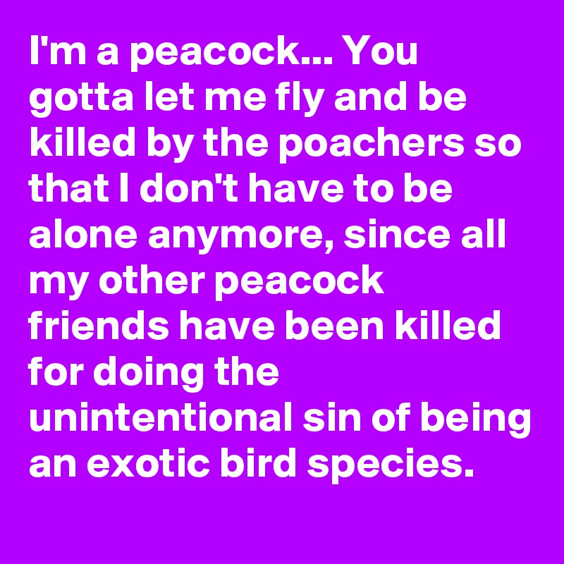 I'm a peacock... You gotta let me fly and be killed by the poachers so that I don't have to be alone anymore, since all my other peacock friends have been killed for doing the unintentional sin of being an exotic bird species. 
