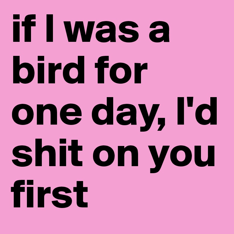 if l was a bird for one day, l'd shit on you first