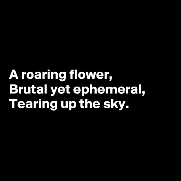 



A roaring flower, 
Brutal yet ephemeral, 
Tearing up the sky.



