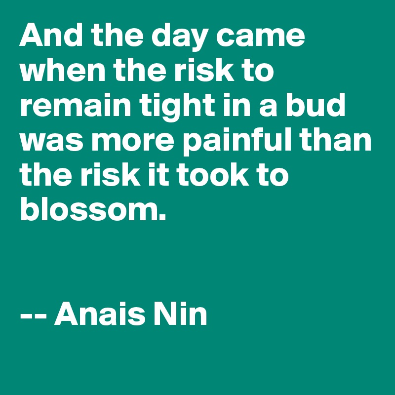 And the day came    when the risk to remain tight in a bud was more painful than the risk it took to blossom.


-- Anais Nin
