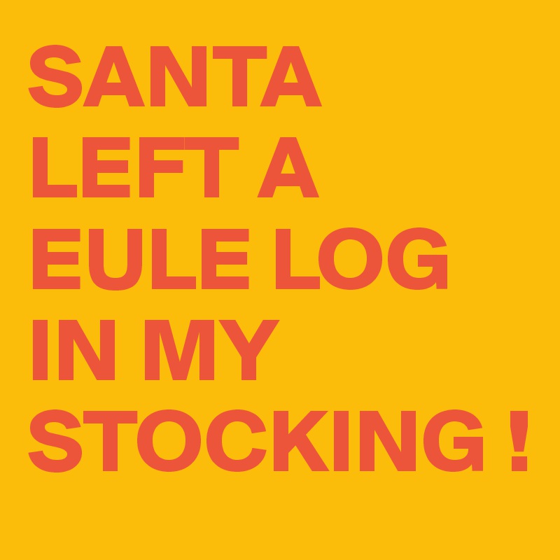 SANTA LEFT A EULE LOG IN MY STOCKING !
