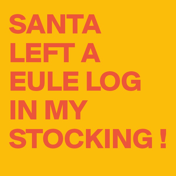 SANTA LEFT A EULE LOG IN MY STOCKING !