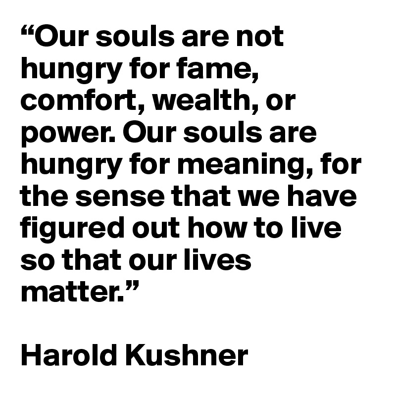 “Our souls are not hungry for fame, comfort, wealth, or power. Our souls are hungry for meaning, for the sense that we have figured out how to live so that our lives matter.” 

Harold Kushner