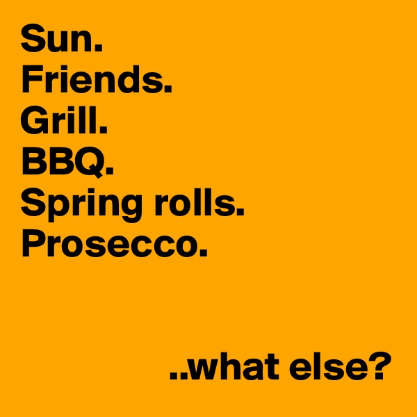 Sun.
Friends.
Grill.
BBQ.
Spring rolls.
Prosecco.


                  ..what else?