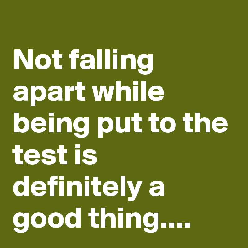 
Not falling apart while being put to the test is definitely a good thing....