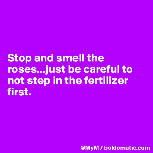 



Stop and smell the roses...just be careful to not step in the fertilizer  first.




