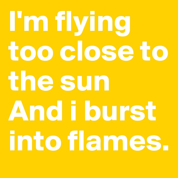 I'm flying too close to the sun
And i burst into flames. 