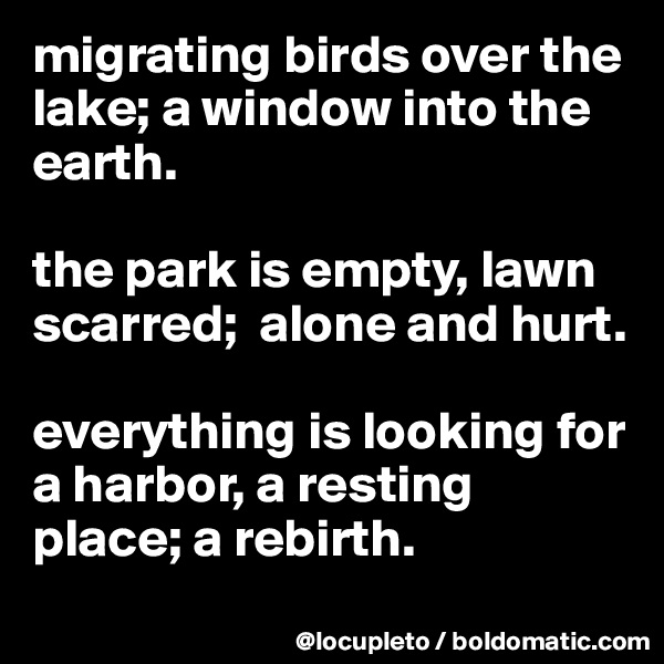 migrating birds over the lake; a window into the earth.  

the park is empty, lawn scarred;  alone and hurt. 

everything is looking for a harbor, a resting place; a rebirth. 
