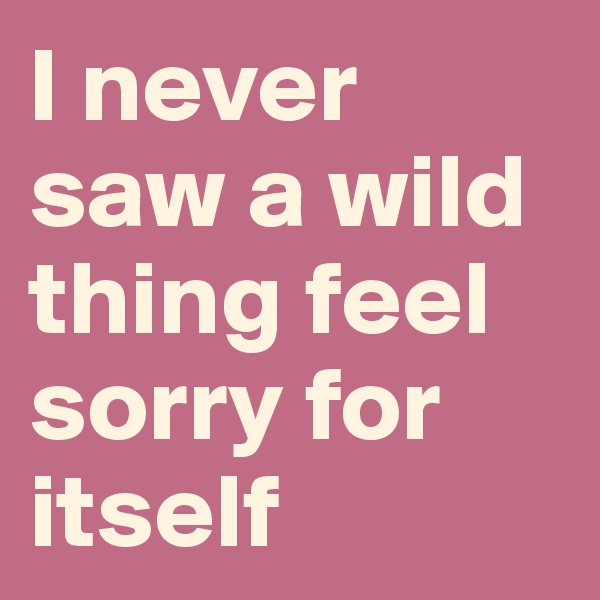 I never saw a wild thing feel sorry for itself