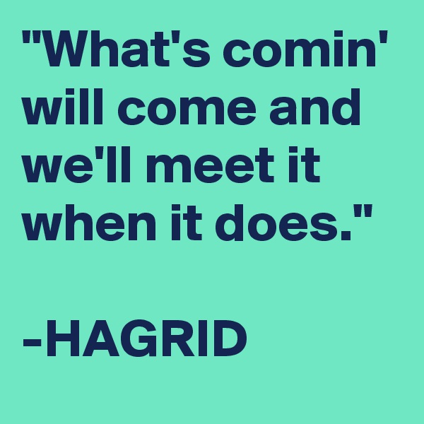 "What's comin' will come and we'll meet it when it does."

-HAGRID