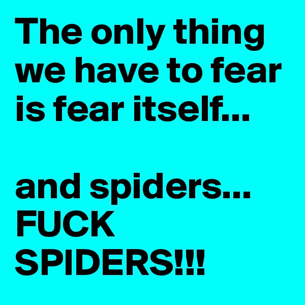 The only thing we have to fear is fear itself...

and spiders...
FUCK SPIDERS!!!