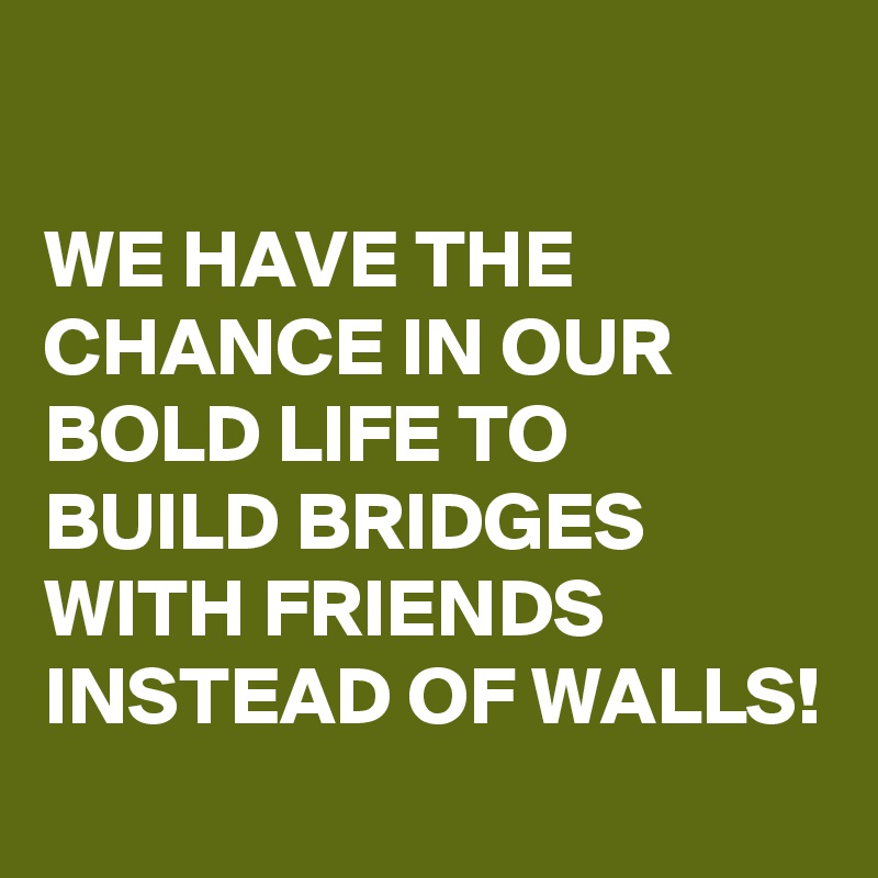 

WE HAVE THE CHANCE IN OUR BOLD LIFE TO BUILD BRIDGES WITH FRIENDS INSTEAD OF WALLS!
