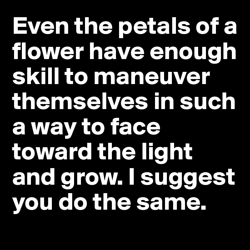 Even the petals of a flower have enough skill to maneuver themselves in such a way to face toward the light and grow. I suggest you do the same.