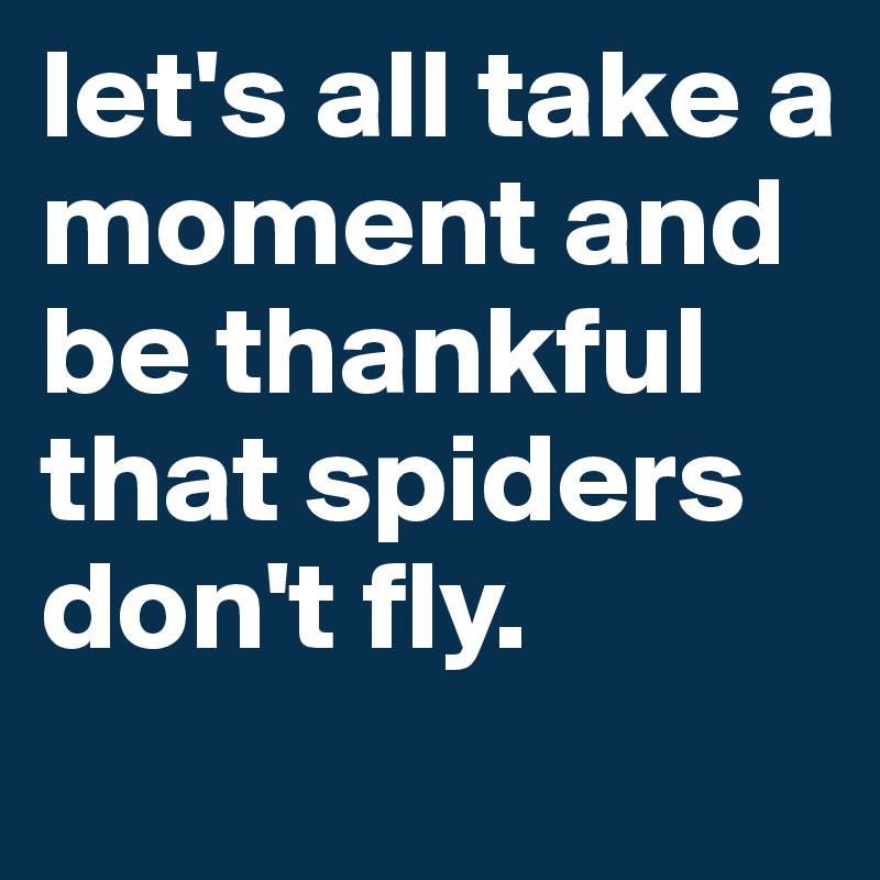 let's all take a moment and be thankful that spiders don't fly.

