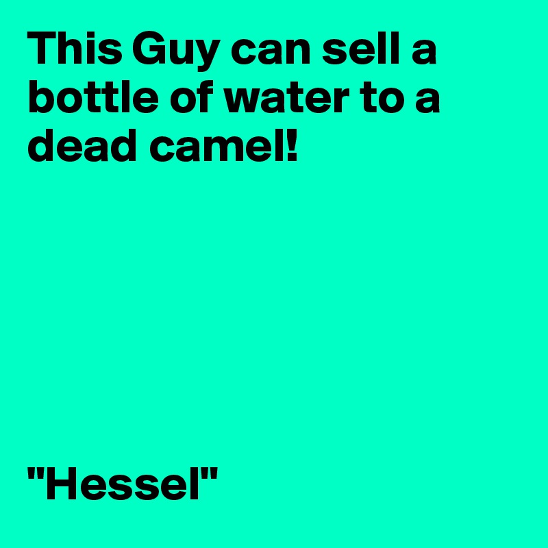 This Guy can sell a bottle of water to a dead camel!






"Hessel"