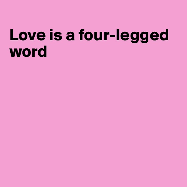 
Love is a four-legged word






