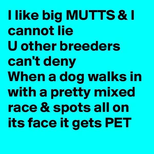 I like big MUTTS & I cannot lie
U other breeders can't deny
When a dog walks in with a pretty mixed race & spots all on its face it gets PET