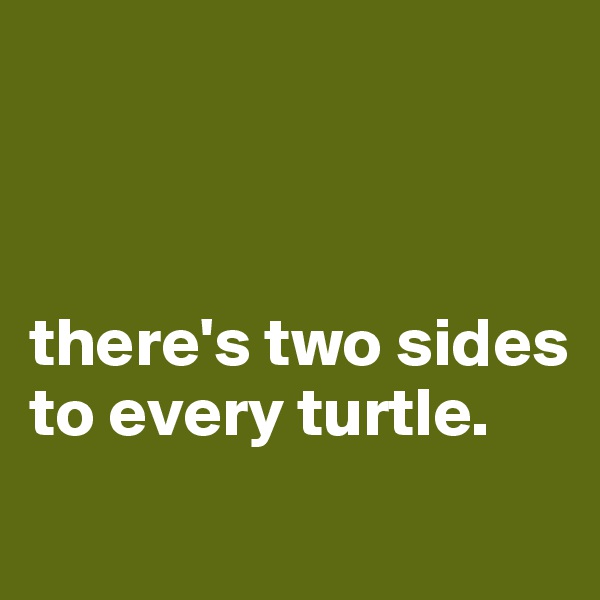 



there's two sides to every turtle.
