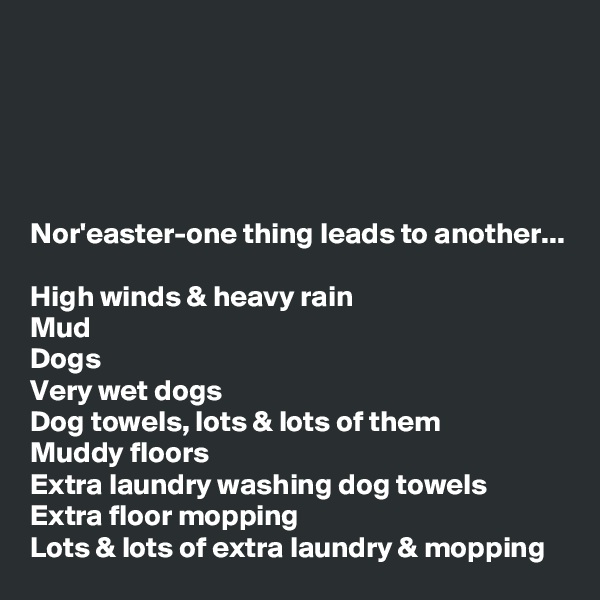 





Nor'easter-one thing leads to another...

High winds & heavy rain
Mud
Dogs
Very wet dogs
Dog towels, lots & lots of them
Muddy floors
Extra laundry washing dog towels
Extra floor mopping
Lots & lots of extra laundry & mopping