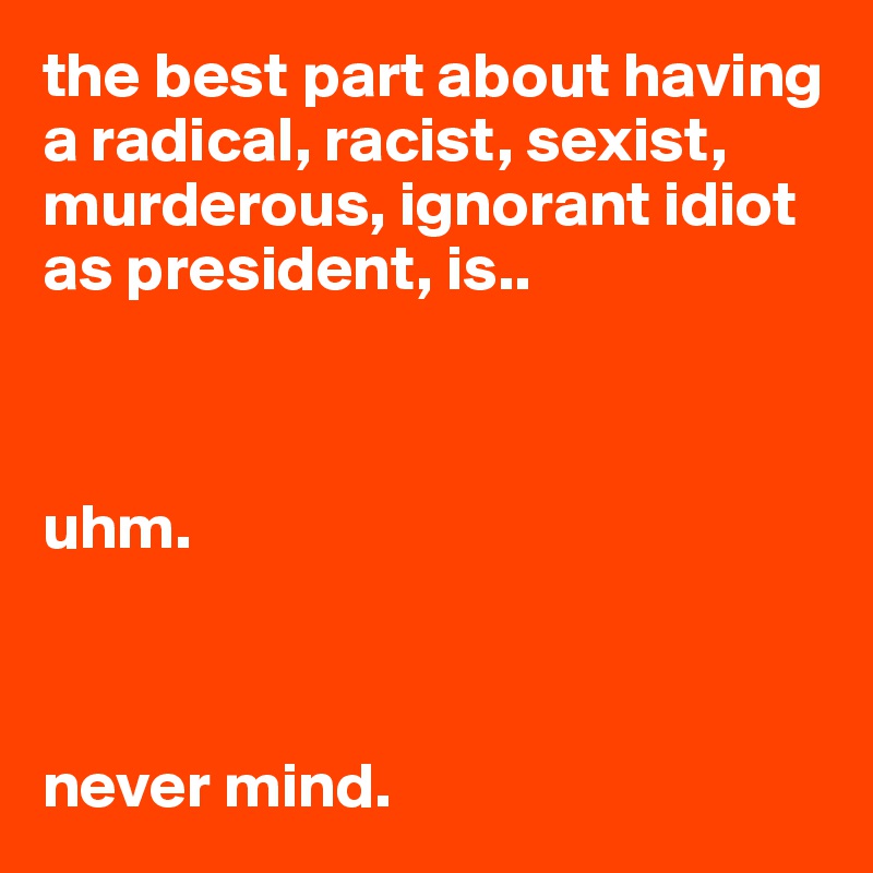 the best part about having a radical, racist, sexist, murderous, ignorant idiot as president, is.. 



uhm. 



never mind. 