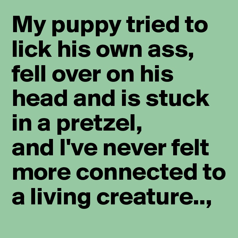 My puppy tried to lick his own ass, fell over on his head and is stuck in a pretzel,
and I've never felt more connected to a living creature..,