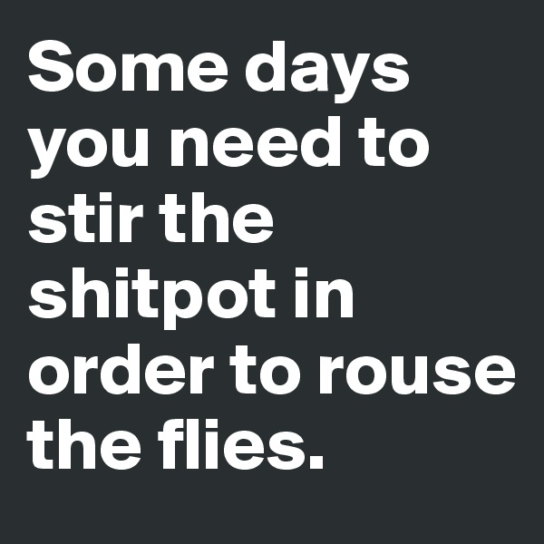 Some days you need to stir the shitpot in order to rouse the flies. 