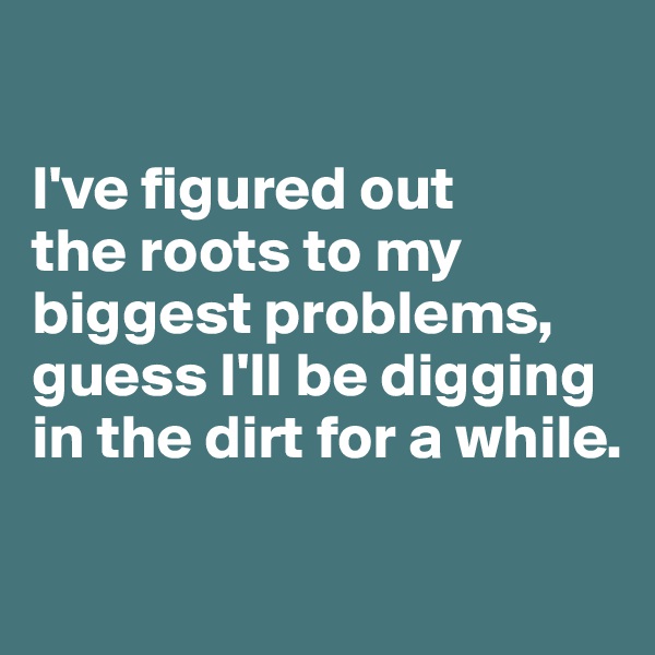 

I've figured out 
the roots to my biggest problems, guess I'll be digging in the dirt for a while.

