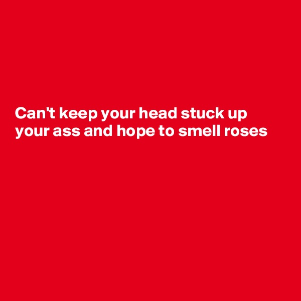 




Can't keep your head stuck up your ass and hope to smell roses







