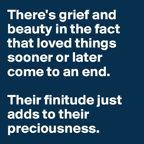 There's grief and beauty in the fact that loved things sooner or later come to an end. 

Their finitude just adds to their preciousness.  
