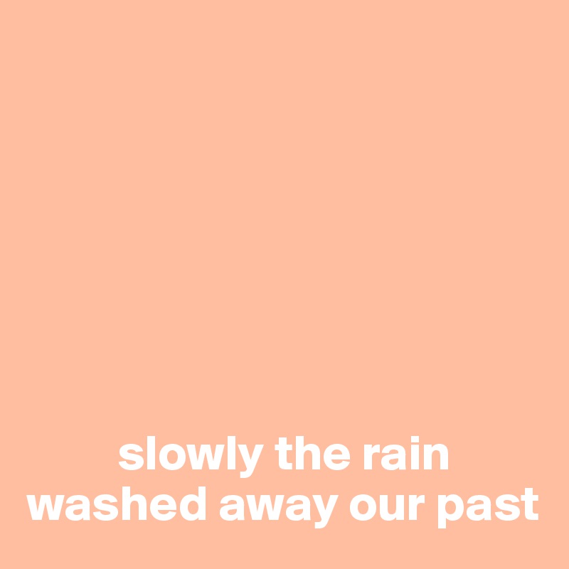 







         slowly the rain
washed away our past