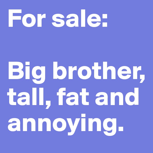 For sale:

Big brother, tall, fat and annoying.