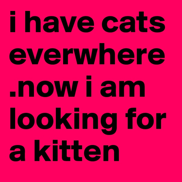 i have cats
everwhere .now i am looking for a kitten 